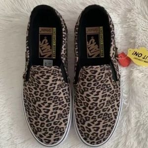 women's vans asher suede skate shoes
